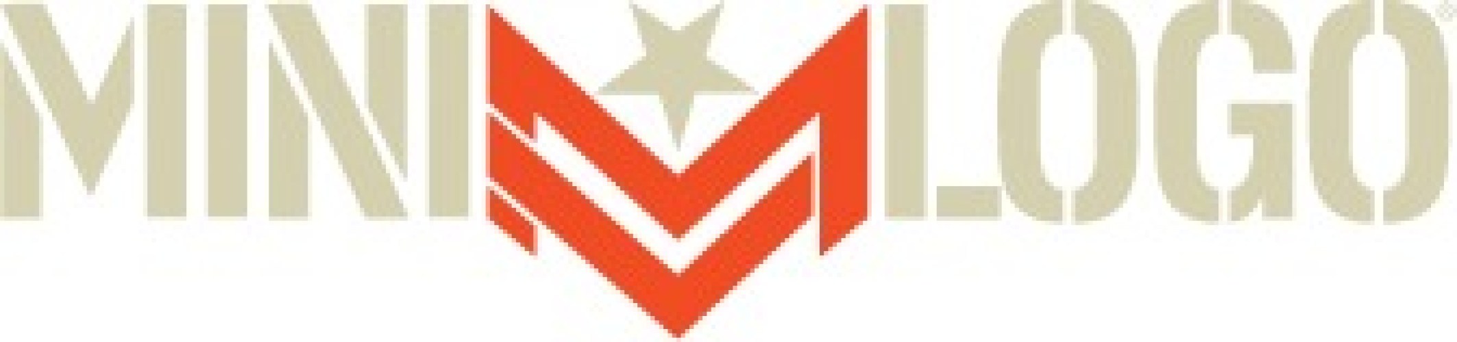 vlogo-minilogo.png.pagespeed.ic.zlfejTLHxz