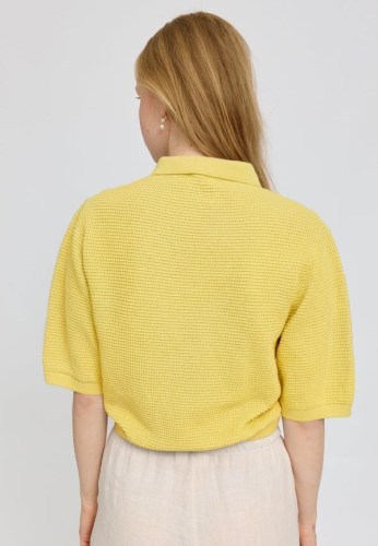 26137007_pastel-yellow_02_1c2b2a