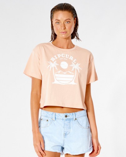 Rip Curl Playabella Crop T-Shirt dusty pink