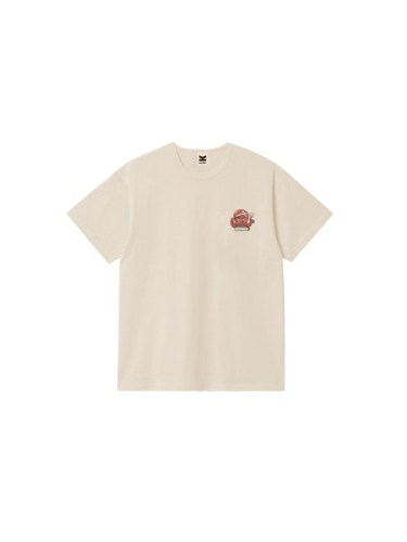 AS033-01-G002.450x600.w