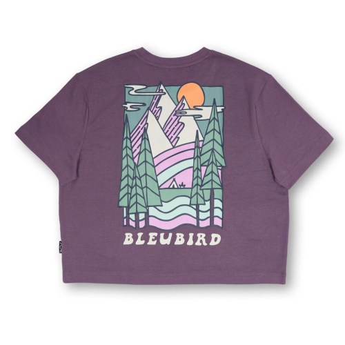 CMC08805Edit-wpe56pgn-95_large