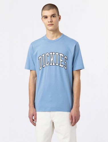 Dickies Aitkin T-Shirt allure