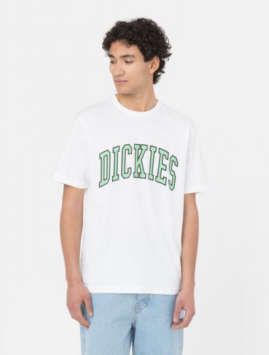 Dickies Aitkin T-Shirt white apple mint