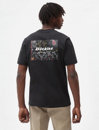 Dickies Reworked T.Shirt black