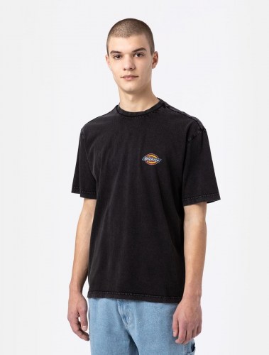 Dickies Icon Washed T-Shirt black
