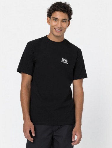 Dickies Dickies Skate T-Shirt black