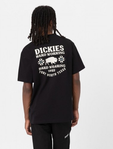 Dickies Hays T-Shirt black