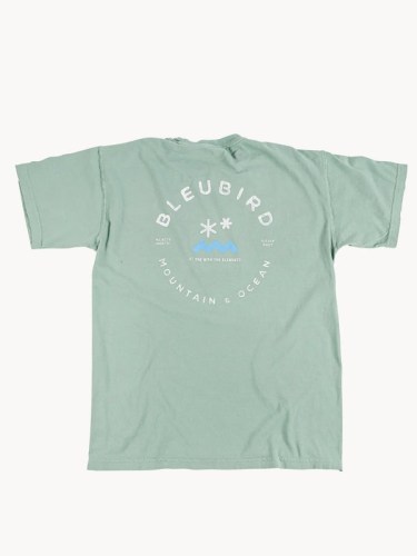 SAGE-ORIG-TEE-AW25-POR-1411-2