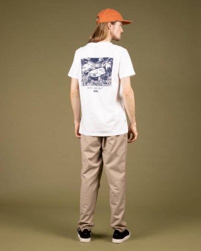 wemoto-ss22-unisex-artwork-dolph